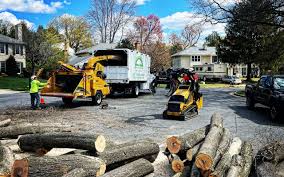 Lawn Grading and Leveling in Craig, AK